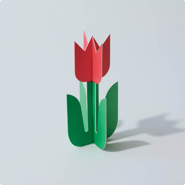 紙花 ペパフラ(赤色)/ 備凸工