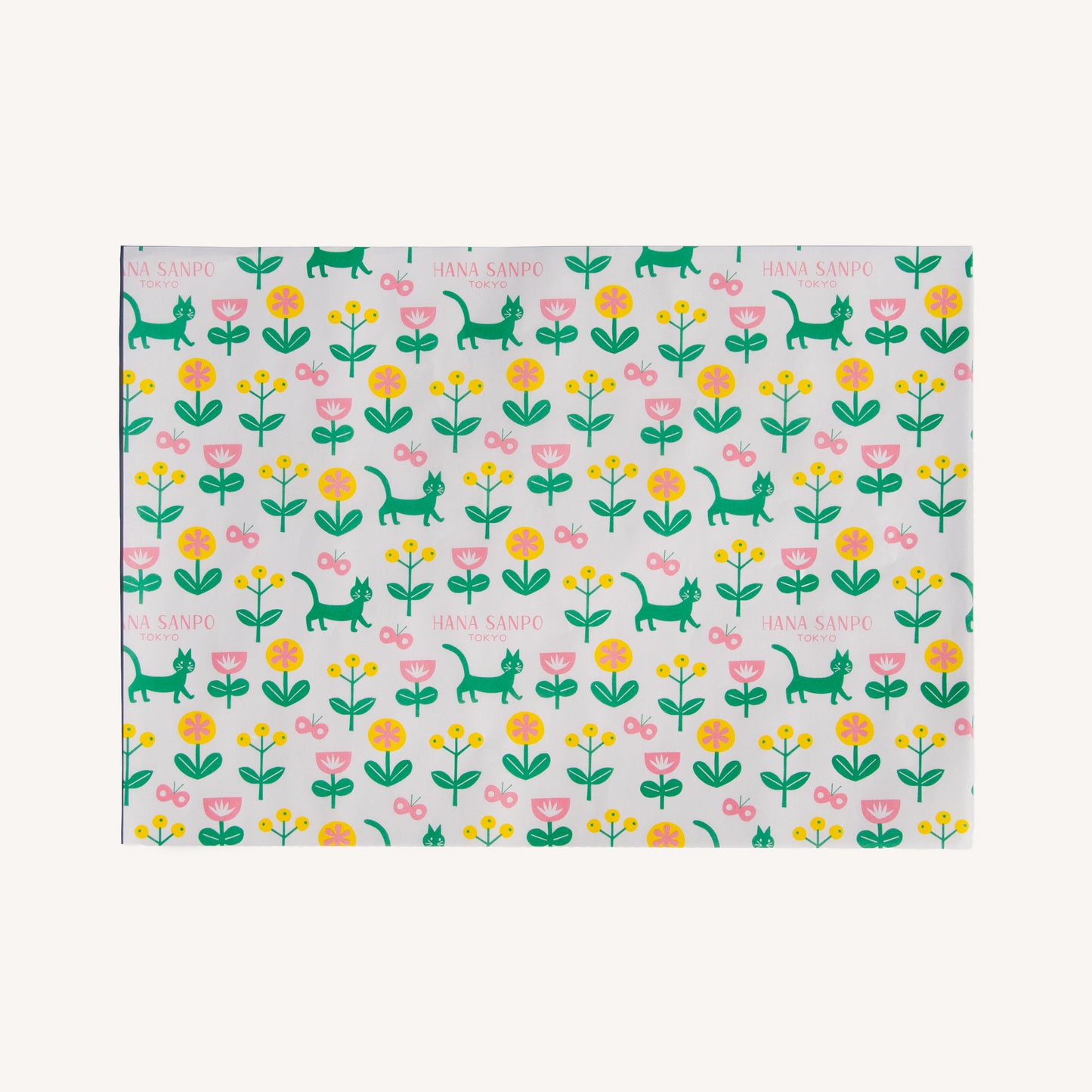 WRAPPING PAPER（杉浦さやか）