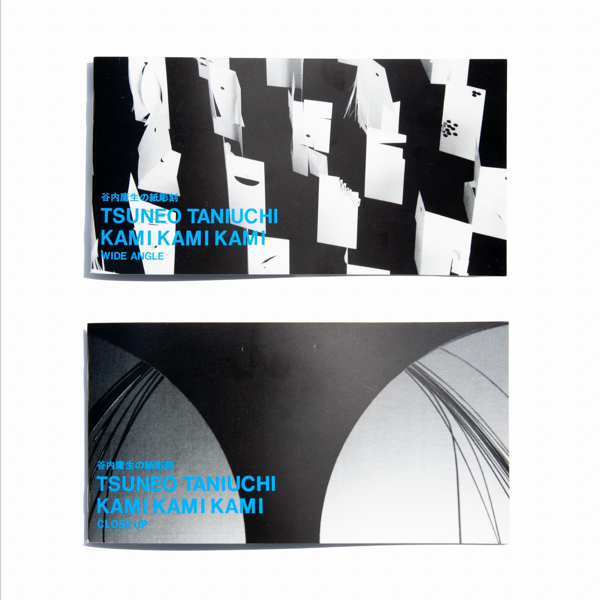 Tsuneo Taniuchi kami kami kami 谷内庸生の紙彫刻　WIDE ANGLE ＆ CLOSE UP ２冊セット