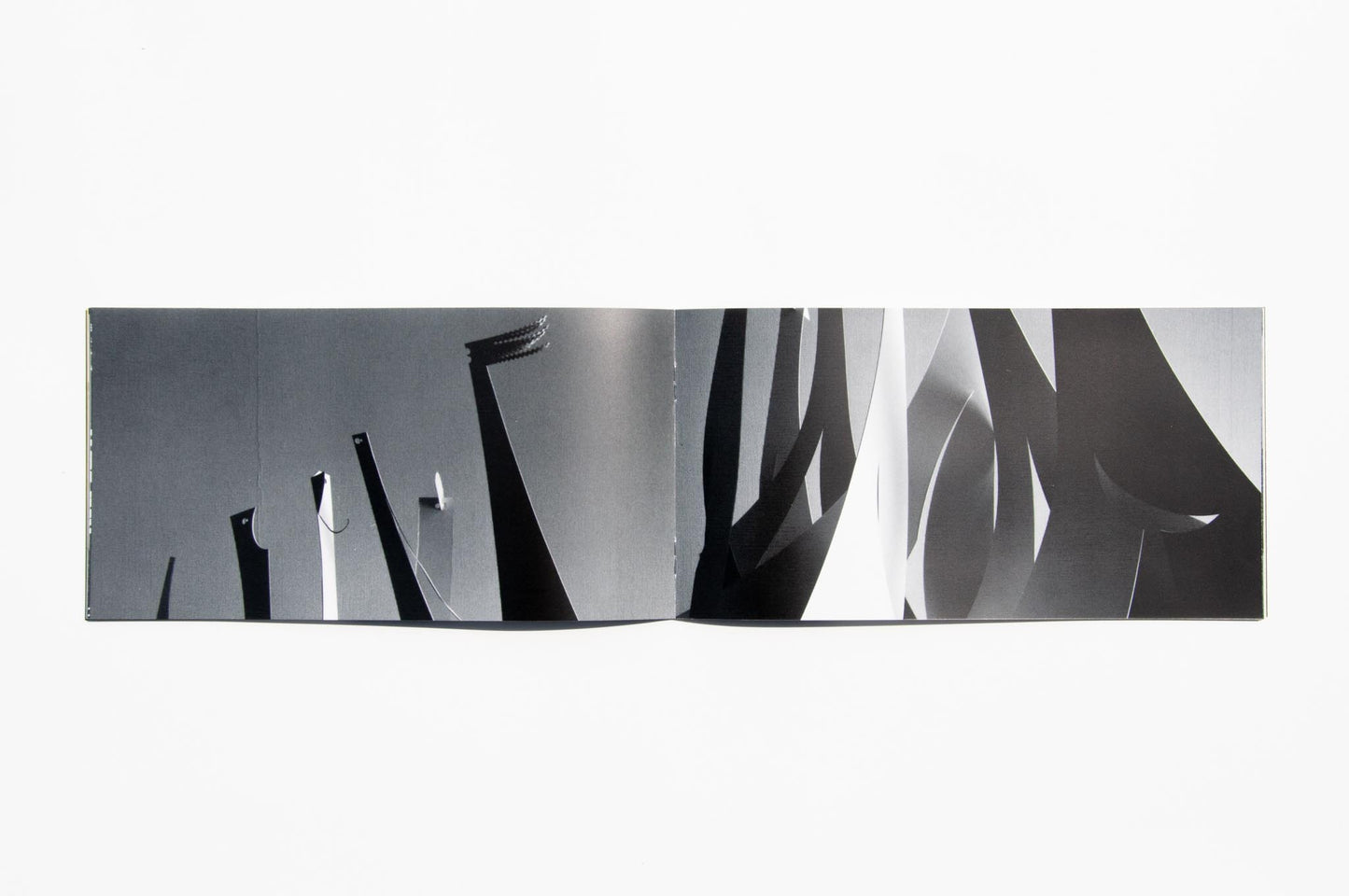 Tsuneo Taniuchi kami kami kami 谷内庸生の紙彫刻　WIDE ANGLE ＆ CLOSE UP ２冊セット